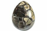Polished Dragon Egg Septarian Geode - Free-Standing #339403-1